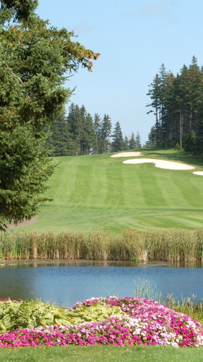 A pond lined with pink flowers overlooking a golf course fairway.
