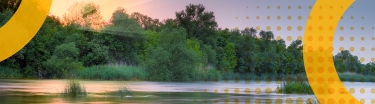 Calm pond scene with trees in background.